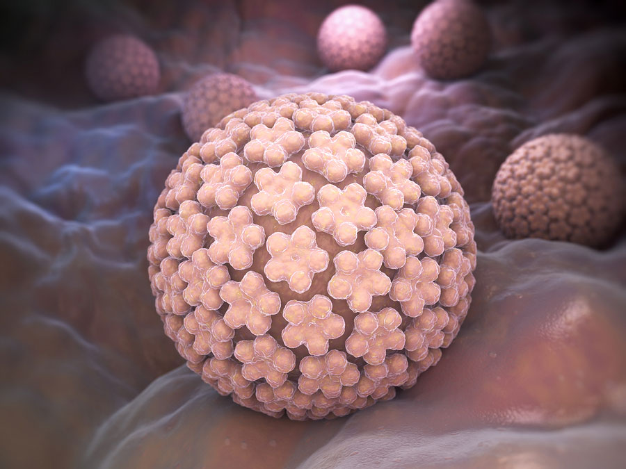 Τι είναι ο HPV